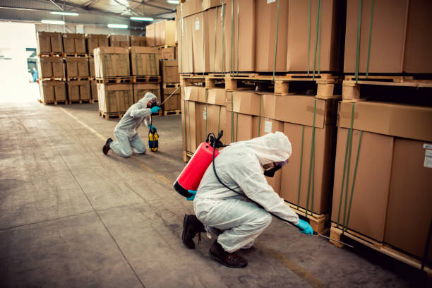 Best Wasp Removal Services  in Stevenson, AL