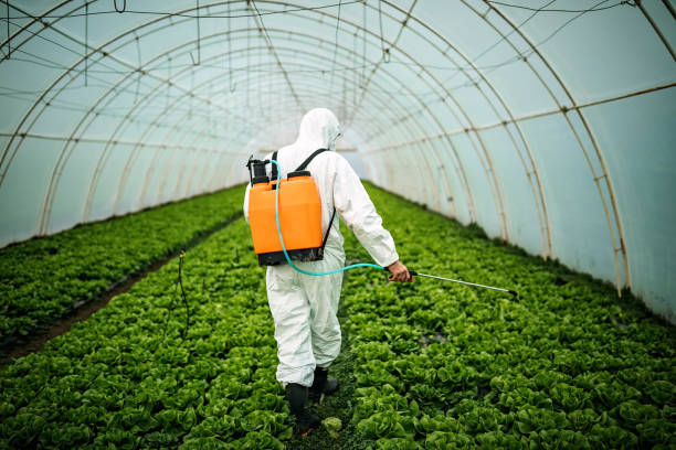 Best Local Pest Control Services  in Stevenson, AL