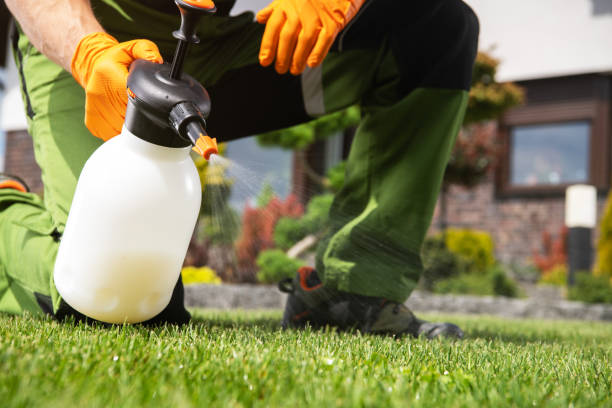 Best Insect Control  in Stevenson, AL