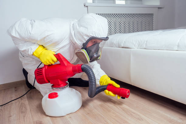 Best Cockroach Control Services  in Stevenson, AL