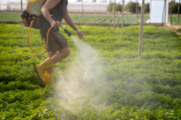 Best Best Pest Control Companies  in Stevenson, AL
