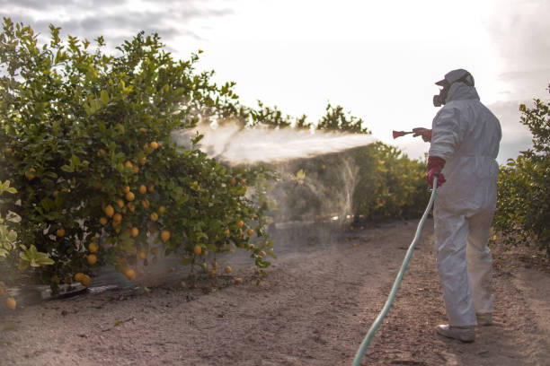 Insect Control in Stevenson, AL