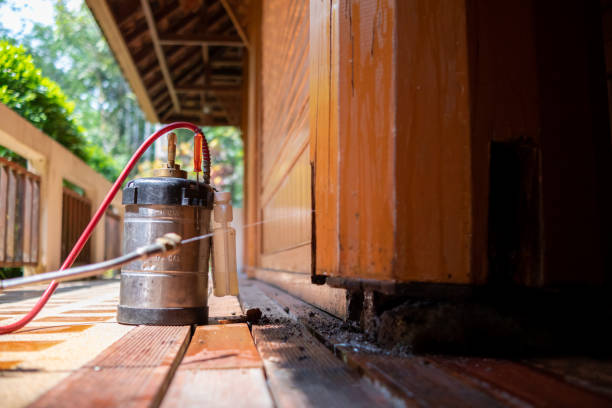 Best Termite Control Services  in Stevenson, AL