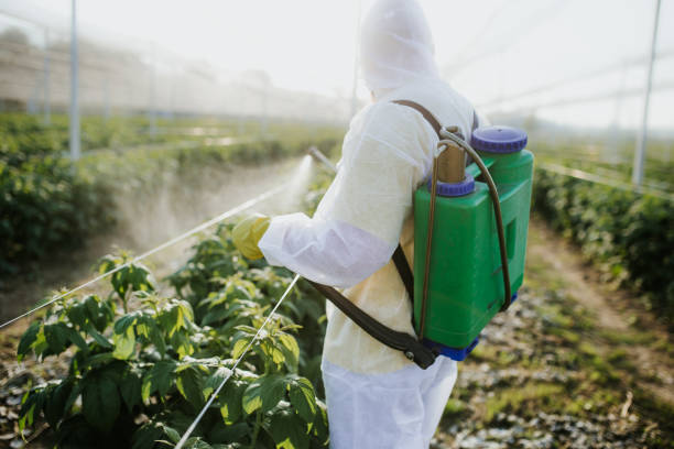 Pest Prevention Services in Stevenson, AL